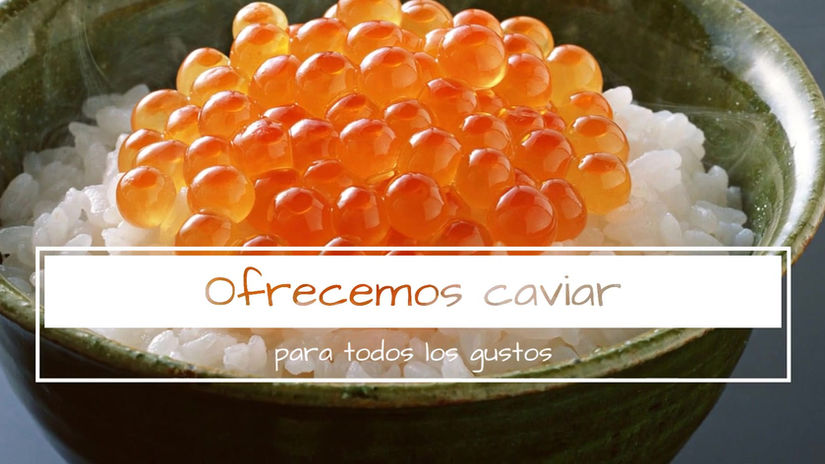 Palacio Gourmet Maximilian